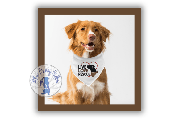 Live Love Rescue Embroidery Review